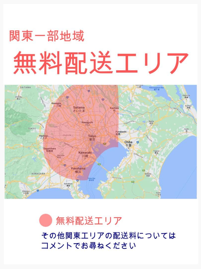 激レアカラー 王様 ギュットアニーズ子供乗せ電動アシスト自転車 ZH3115