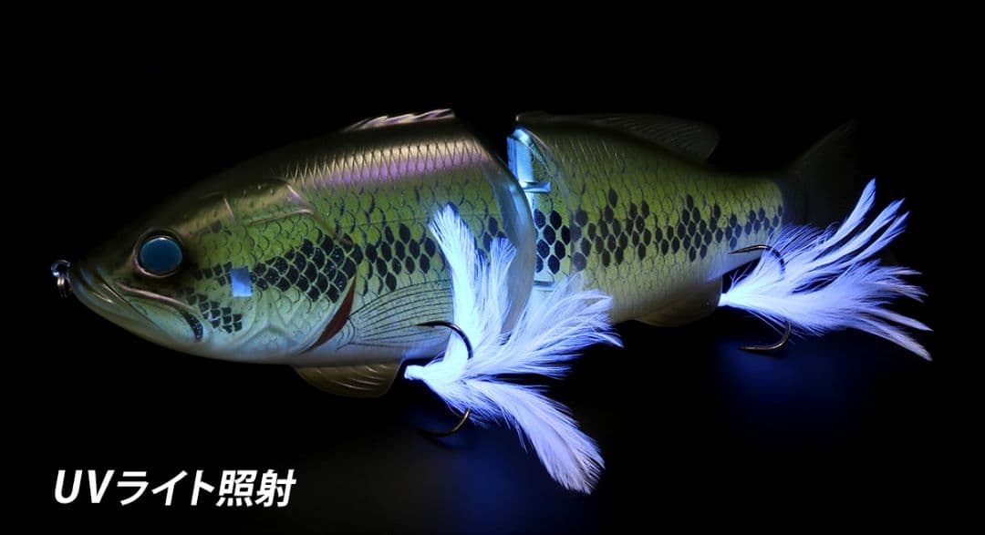 専用トイラージ　deps コードネームバス SS メンバー限定 新品 デプス