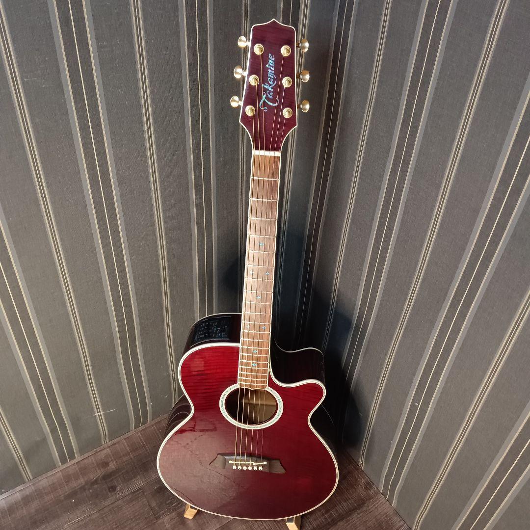 赤トラ目 美品 エレアコ TAKAMINE NPT-110 ギター ケース付