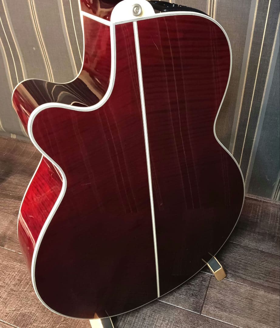 赤トラ目 美品 エレアコ TAKAMINE NPT-110 ギター ケース付