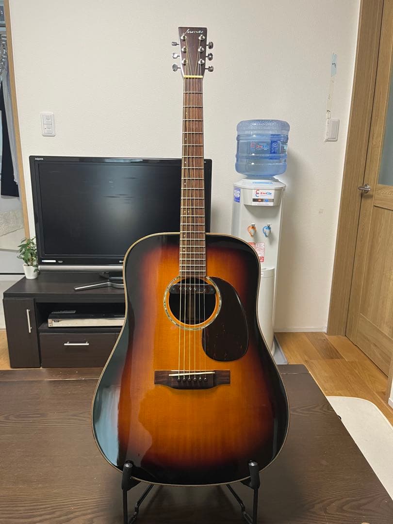 James JD800VBトップバック単板★ピックアップ★セルロイドピックガード