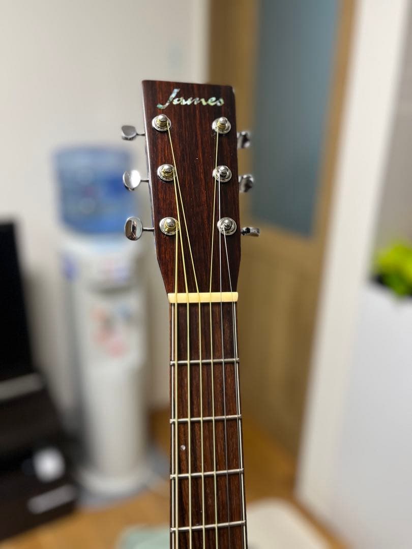 James JD800VBトップバック単板★ピックアップ★セルロイドピックガード