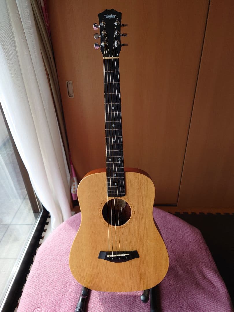 ​【純正ハードケース付】 Taylor Baby Taylor 301