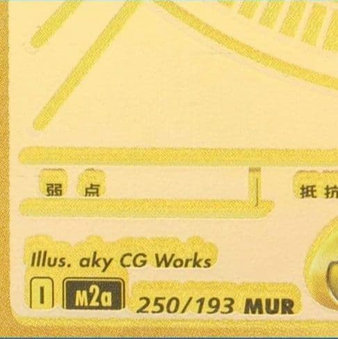 【魂抜けエラーカード】メガカイリューex MUR【鑑定済み】