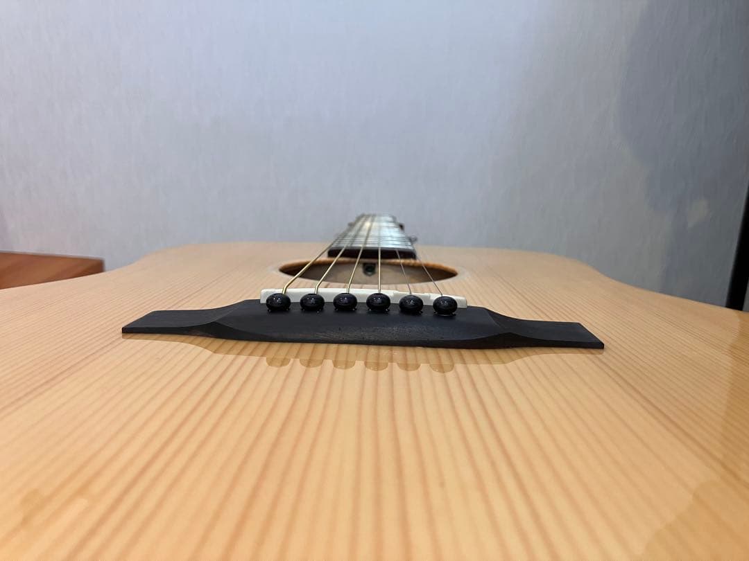 ELVIS Elite2 アコースティックギター中古
