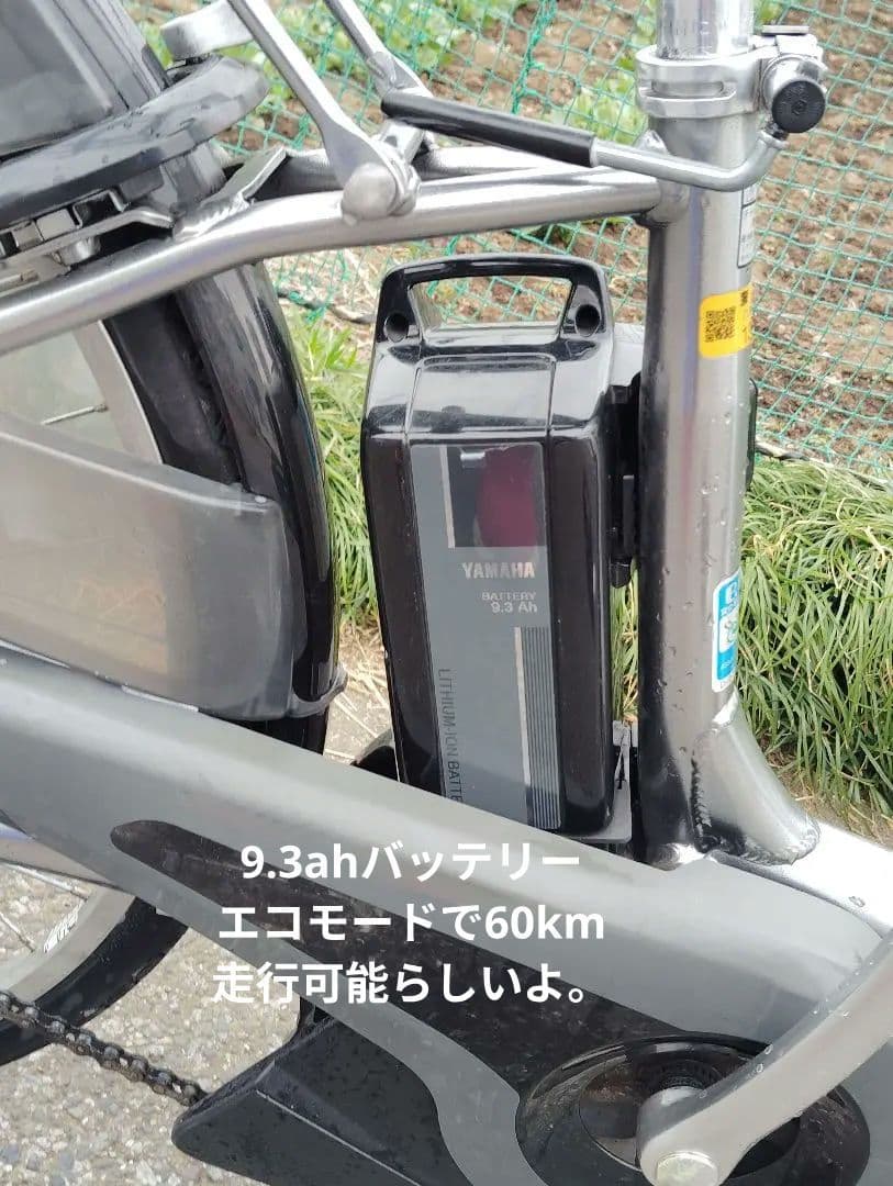 YAMAHA　PAS　cheer