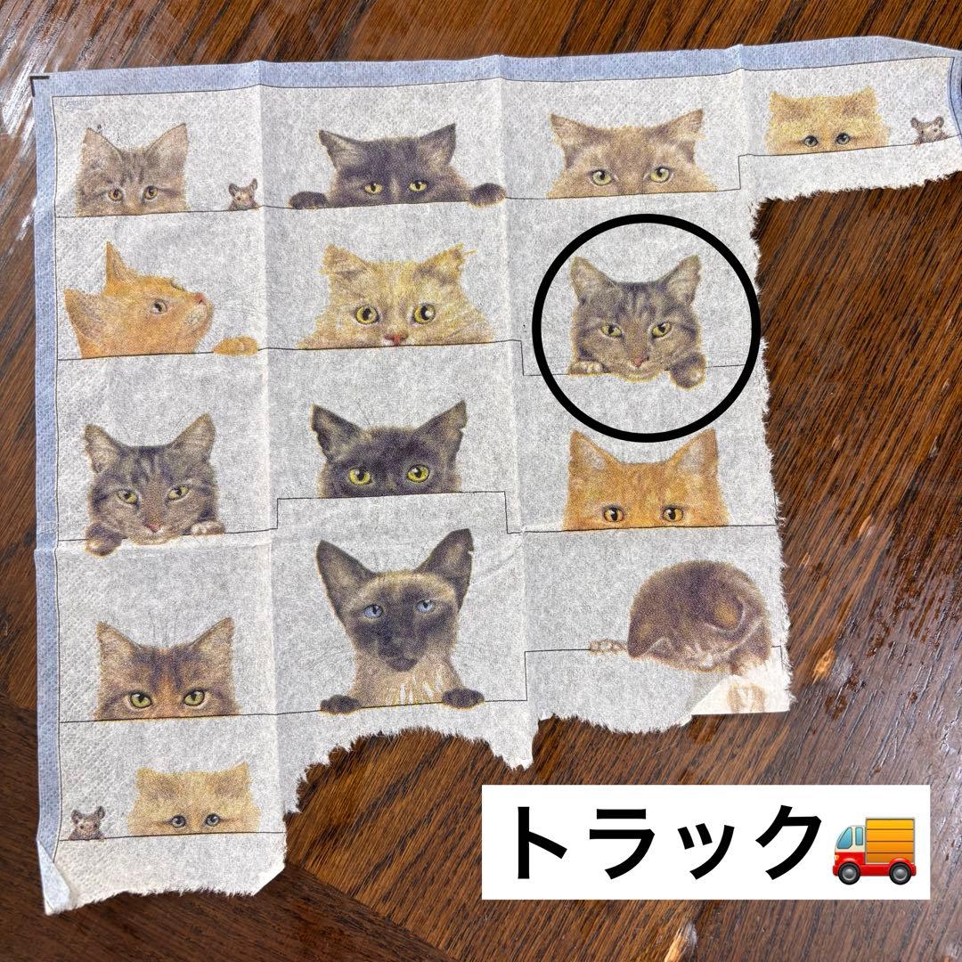 ふーこ様オーダーリメ缶　19個セット