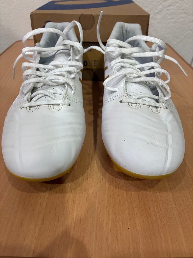 ASICS DS LIGHT ADVANCE　25.0cm
