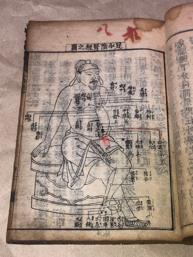 新刊十四経絡発揮 和本 古文書