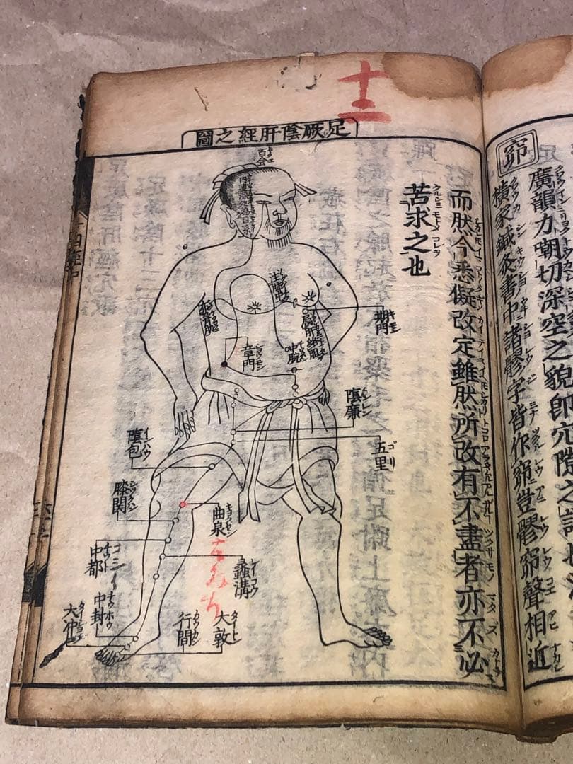 新刊十四経絡発揮 和本 古文書