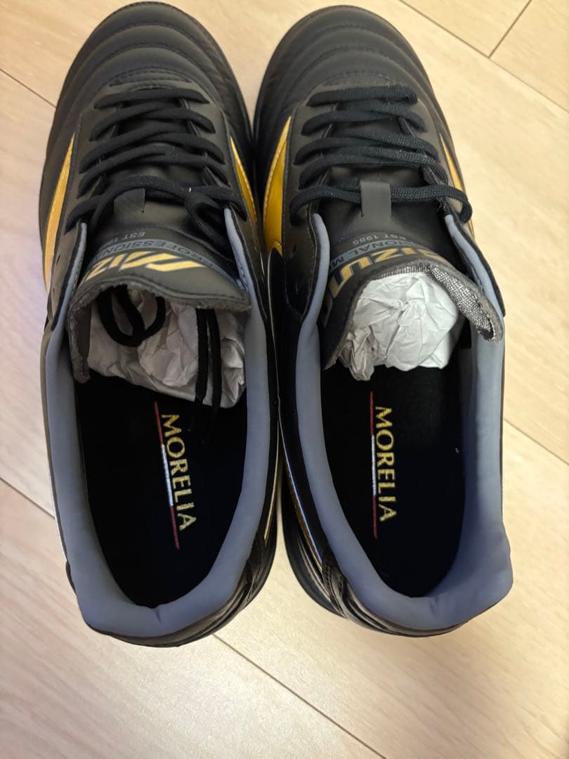 【新品未使用】Mizuno Morelia Pro Ⅱ TF 25.0cm