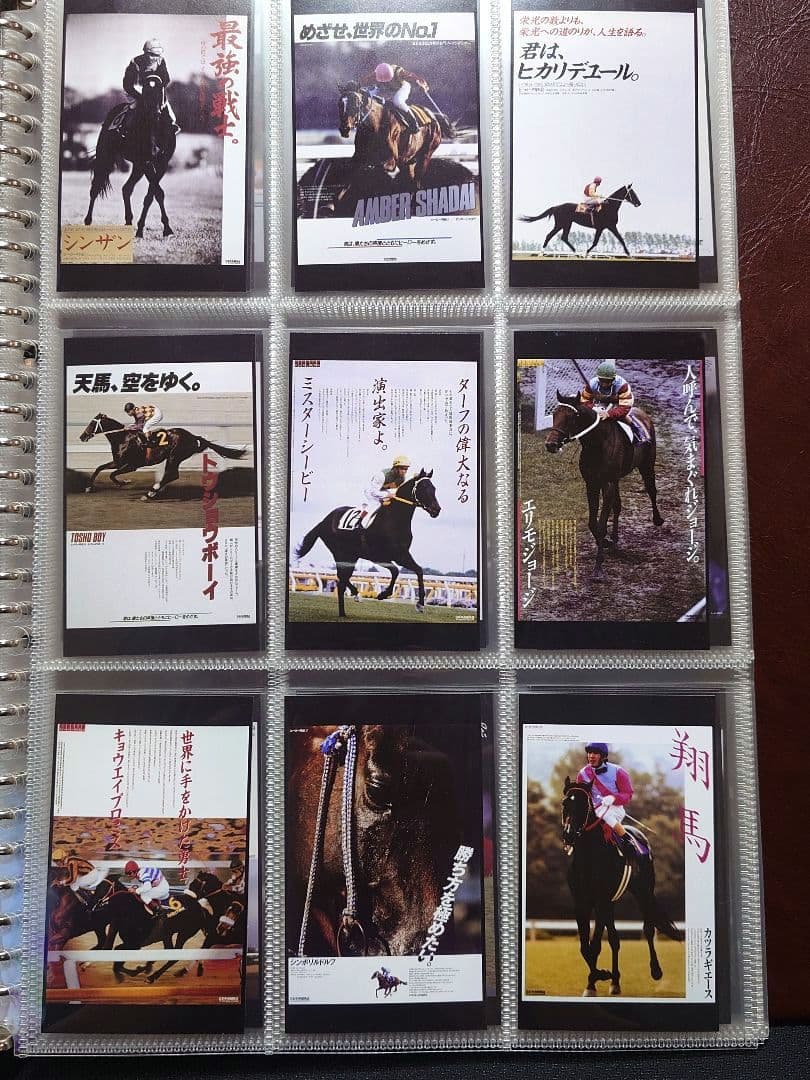 競馬 トレカ オッズマスターグランプリ2017 ヒーロー列伝 81枚セット