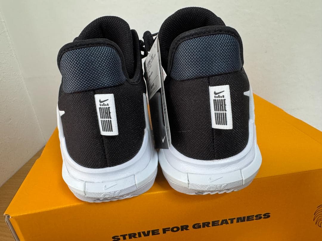 NIKE LEBRON WITNESS 6 レブロン ウィットネス 26.5cm