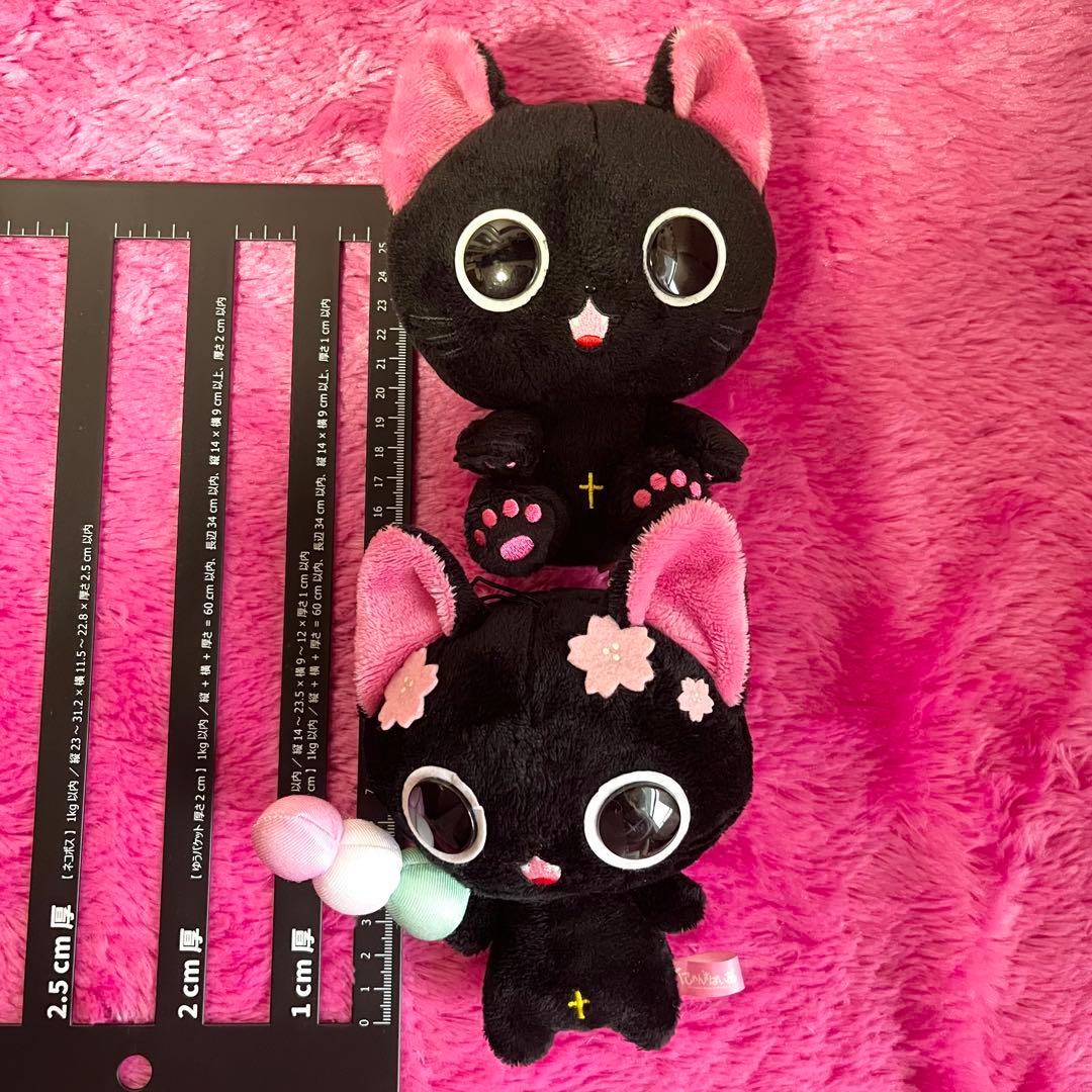 にゃんぱいあ ぬいぐるみマスコット うちわ セット【平成レトロ】 お花 黒猫