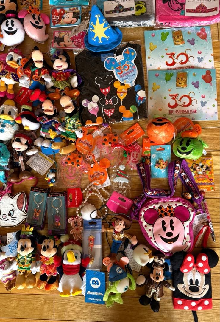 レ*ン様 ディズニー　新品　ぬいぐるみ　ミッキー　ミニー　マスコット　30周年