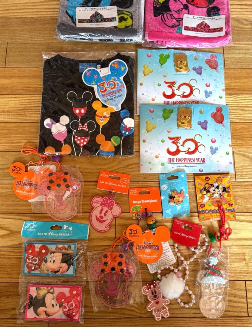 レ*ン様 ディズニー　新品　ぬいぐるみ　ミッキー　ミニー　マスコット　30周年