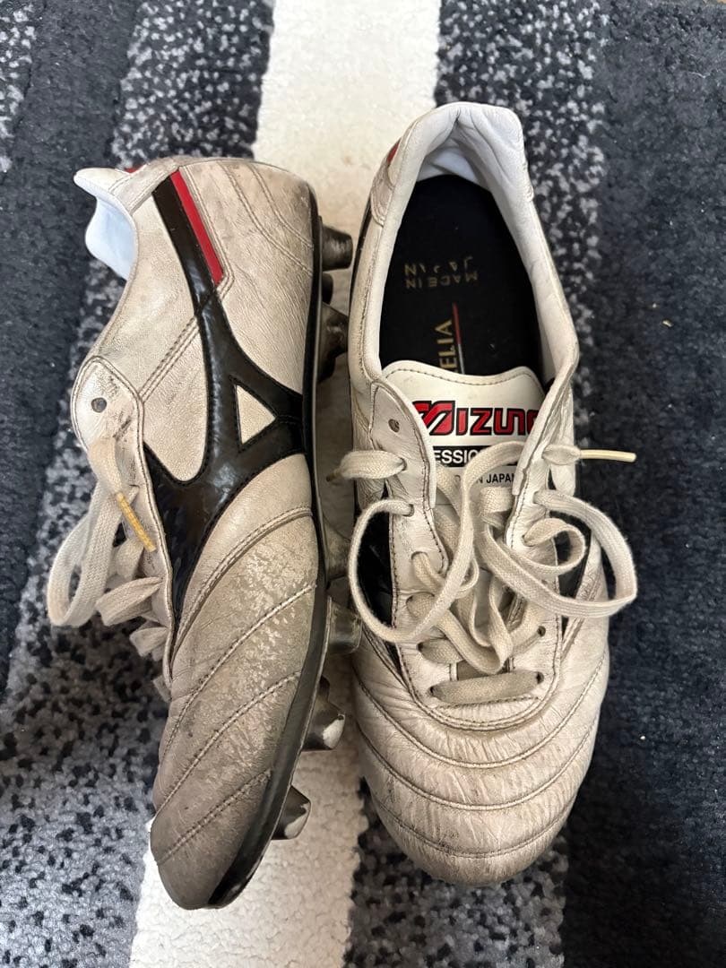 MIZUNO モレリア2