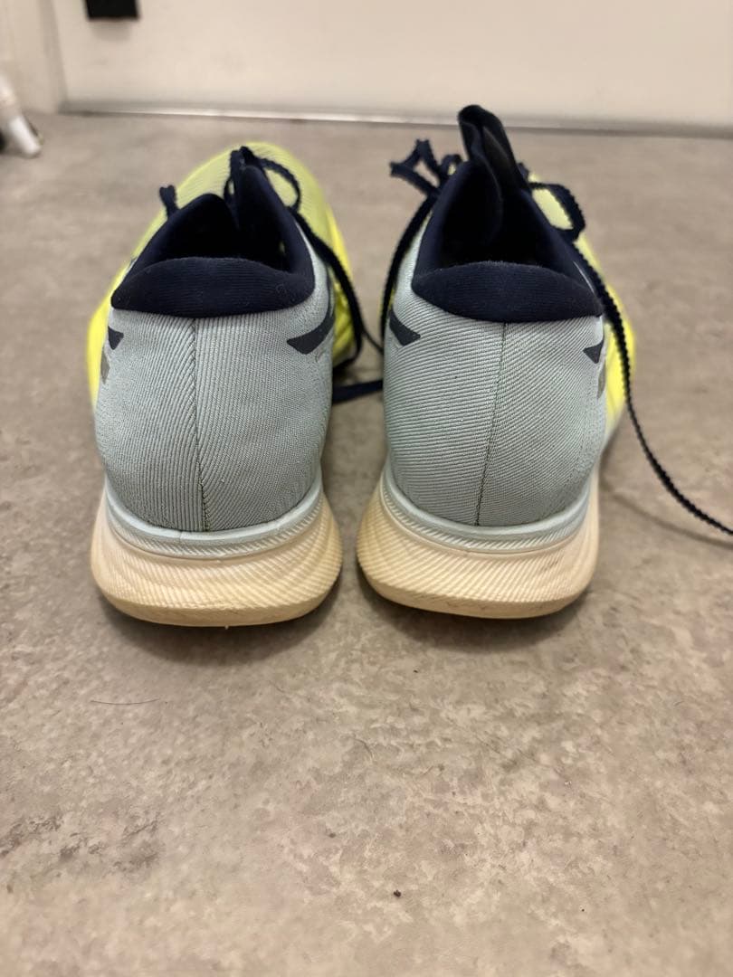 メタススピードスカイ　　ドラゴンフライ2