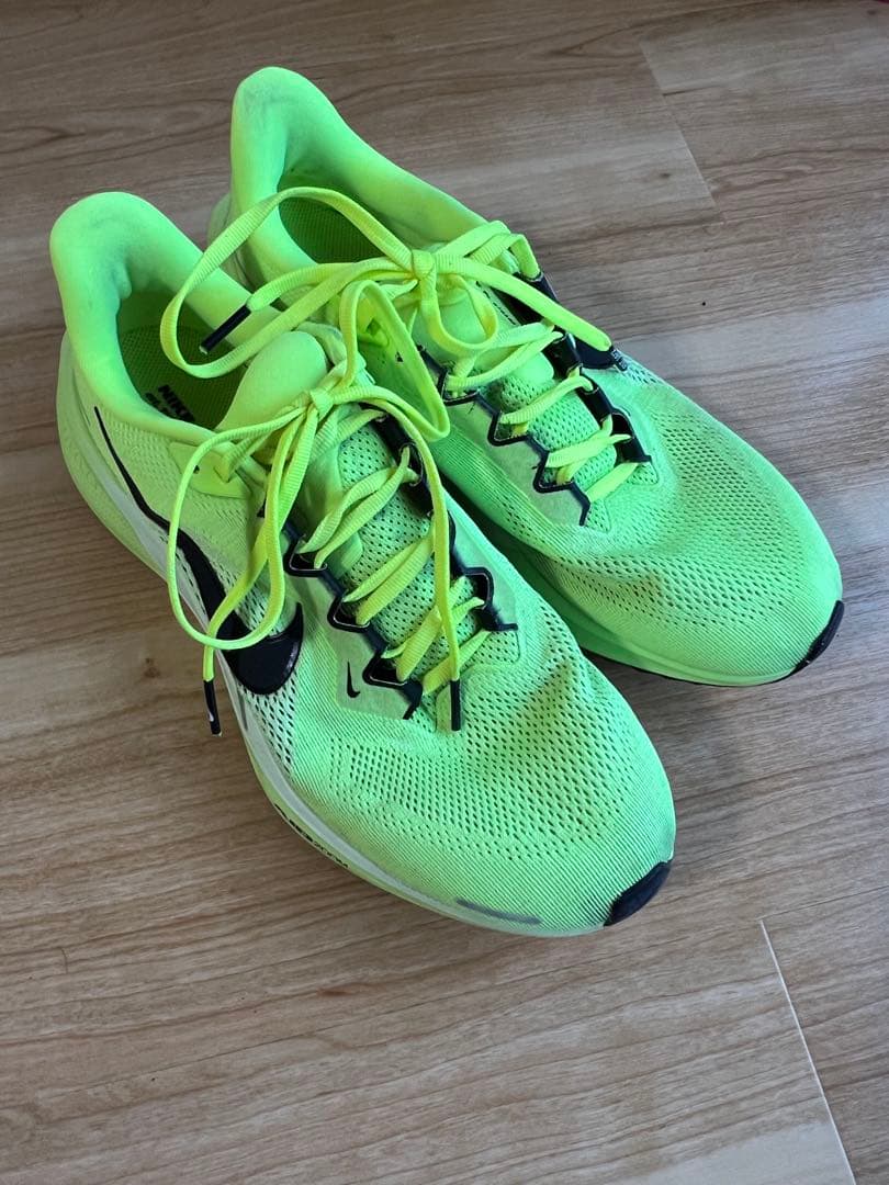 Nike ペガサス 41 27cm