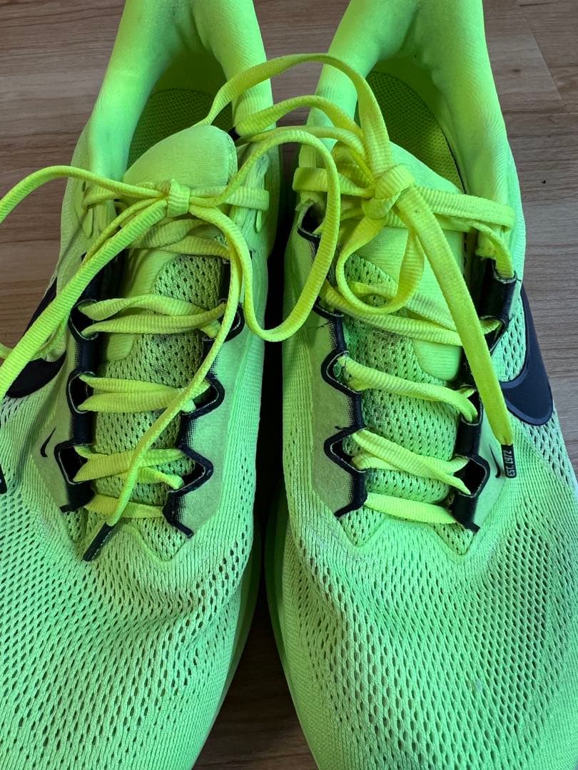 Nike ペガサス 41 27cm