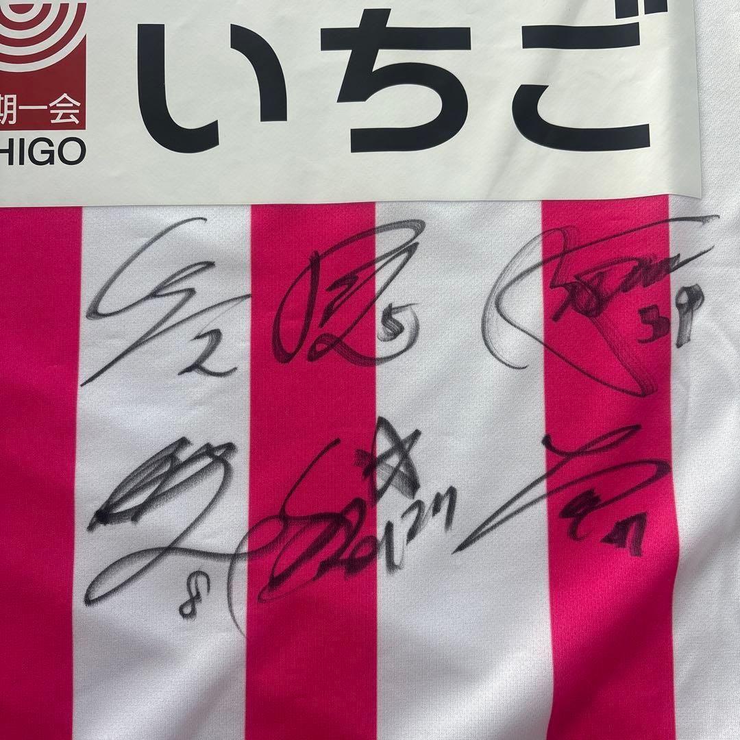 テゲバジャーロ宮崎　サイン入りユニフォーム