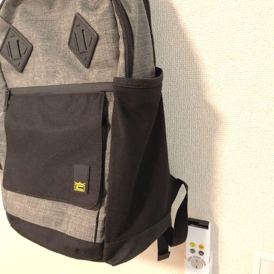 【レア美品】【COBRA】グレー バックパック