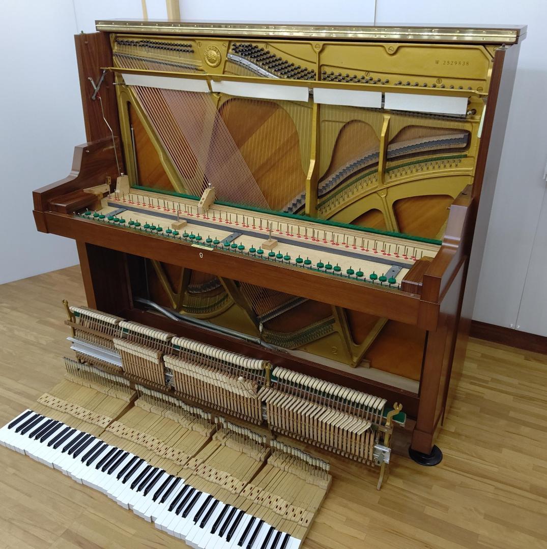 ヤマハ W101【美品/希少ローズウッド】内部調整(整調/整音済) YAMAHA
