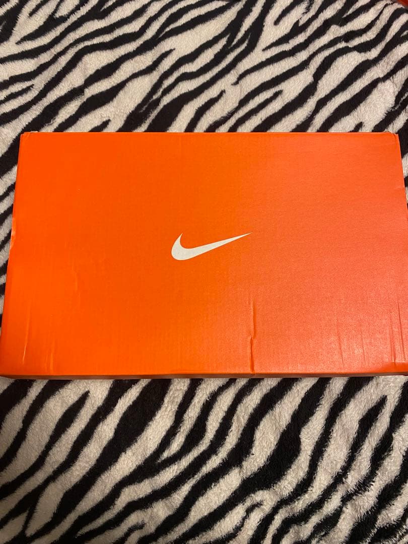 NIKE Lunar Ballistec 1.5 テニスシューズ