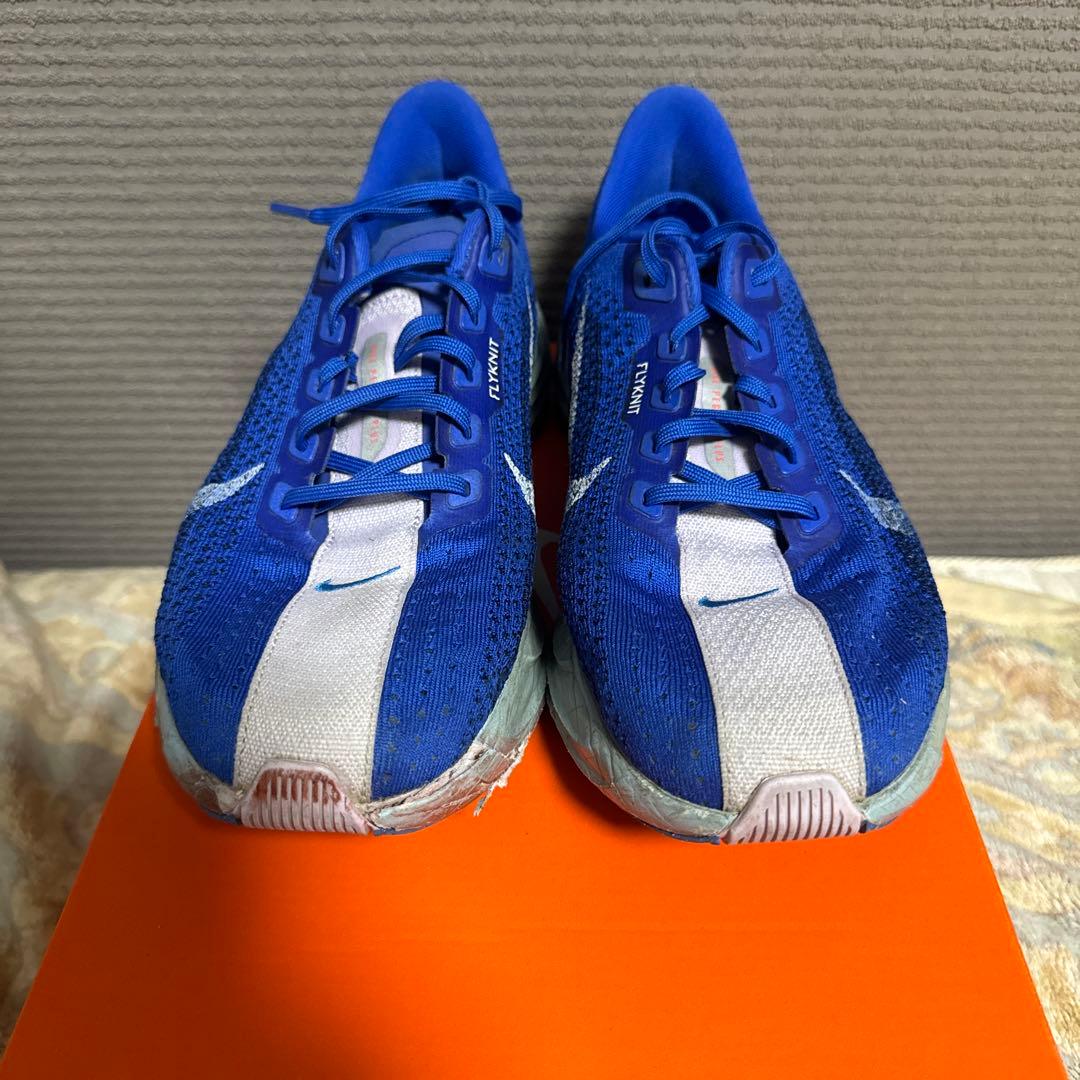 ナイキ　ペガサスプラスCM 27.5