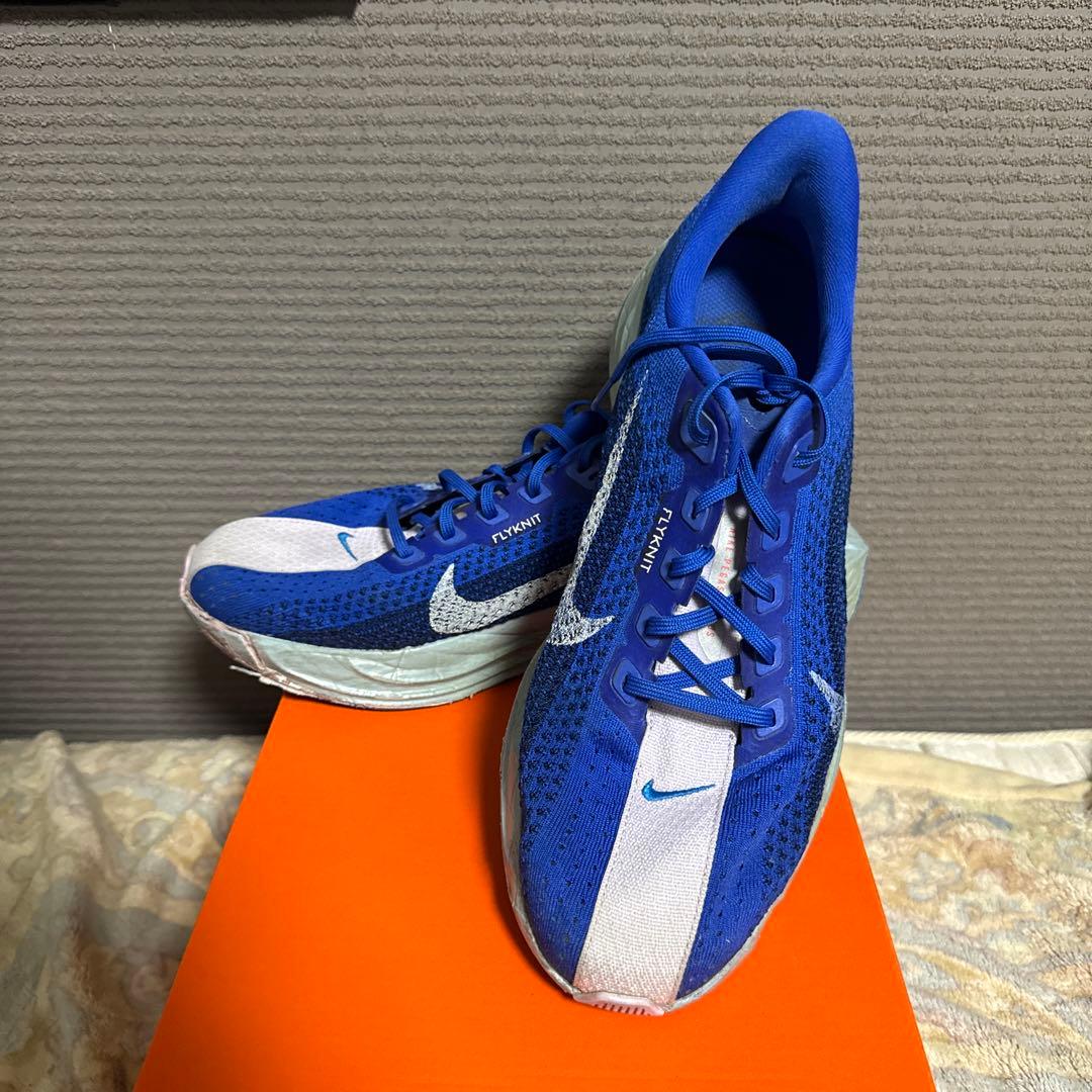 ナイキ　ペガサスプラスCM 27.5
