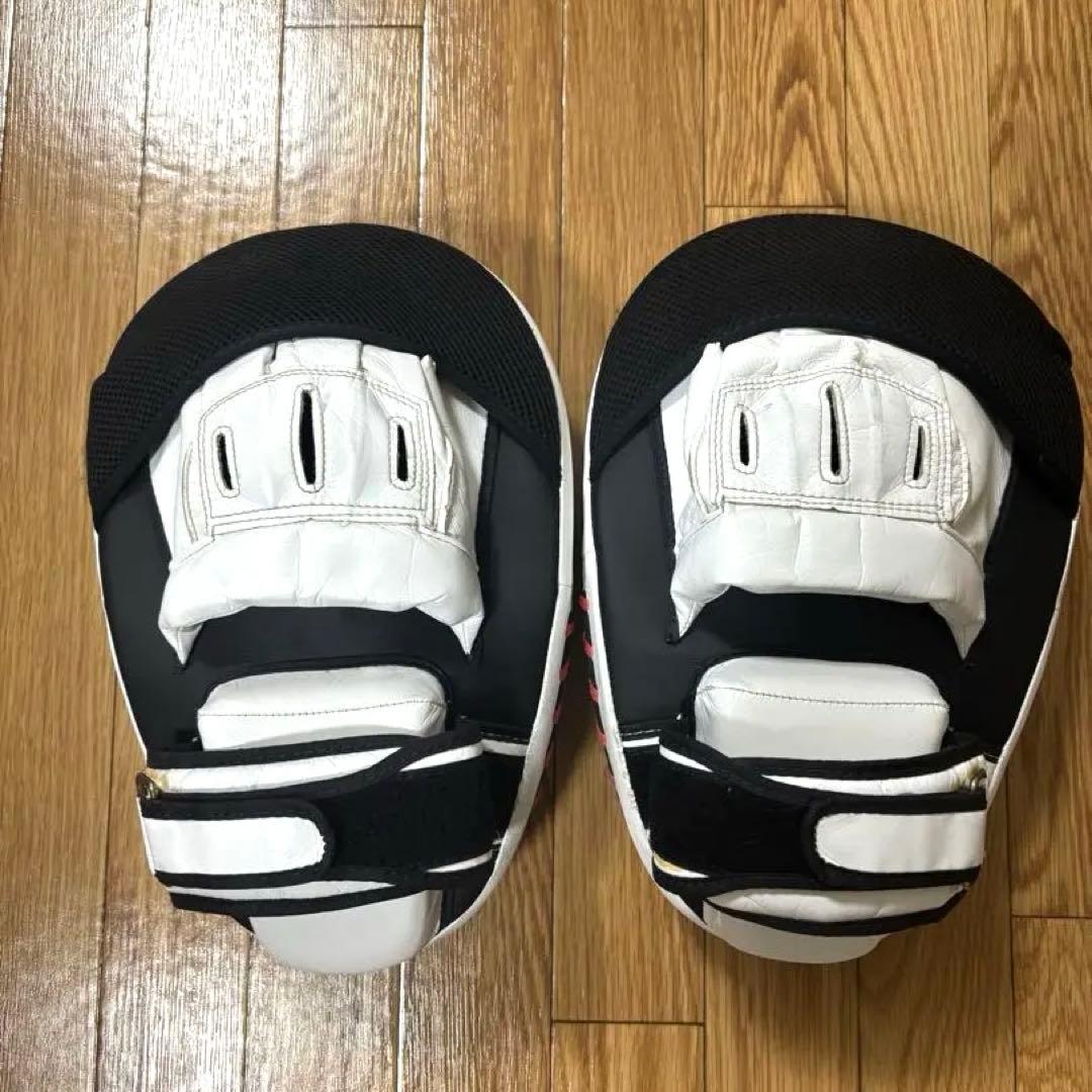 フェアテックス Fairtex キックミット