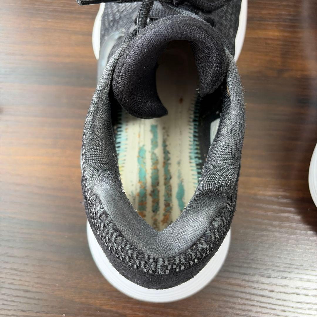 NIKE ハイパーダンク2017 low
