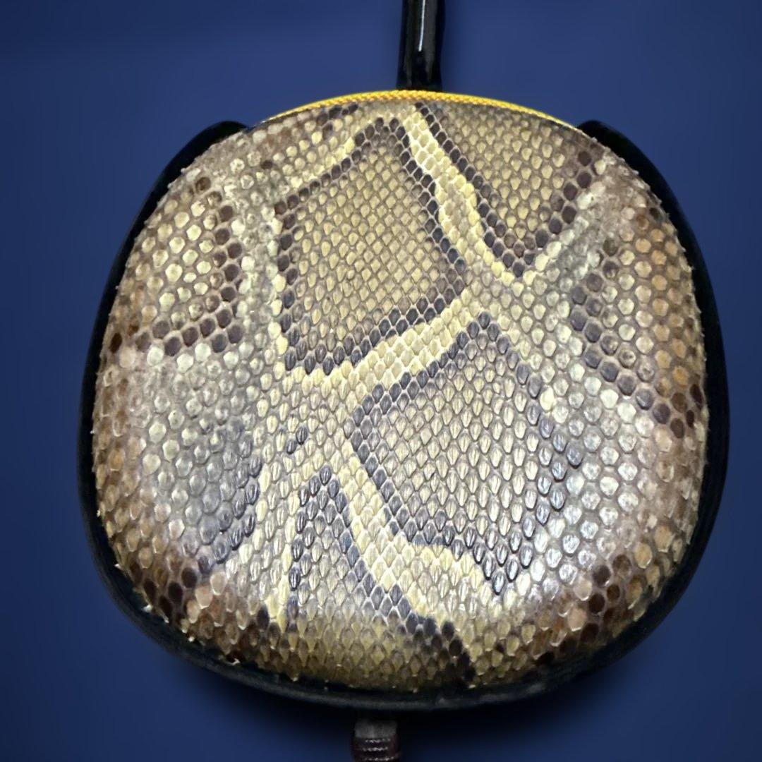 三線 ソフトケース付き（ニシキヘビの蛇皮）