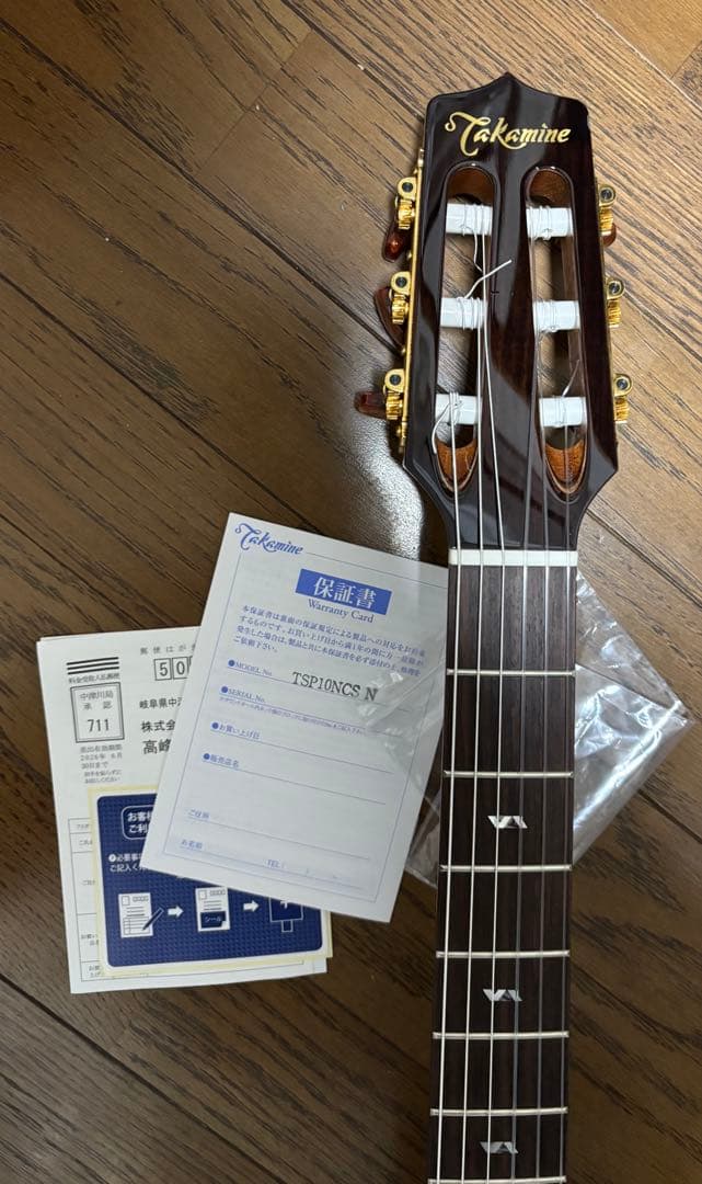 Takamine タカミネ TSP10NCS エレガットギター ナイロン弦
