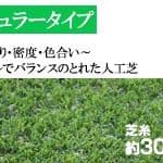 人工芝ロール　クローバーターフ