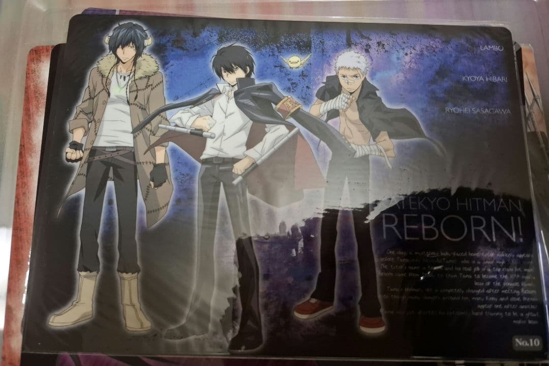 REBORN! クリアファイル 下敷きセット