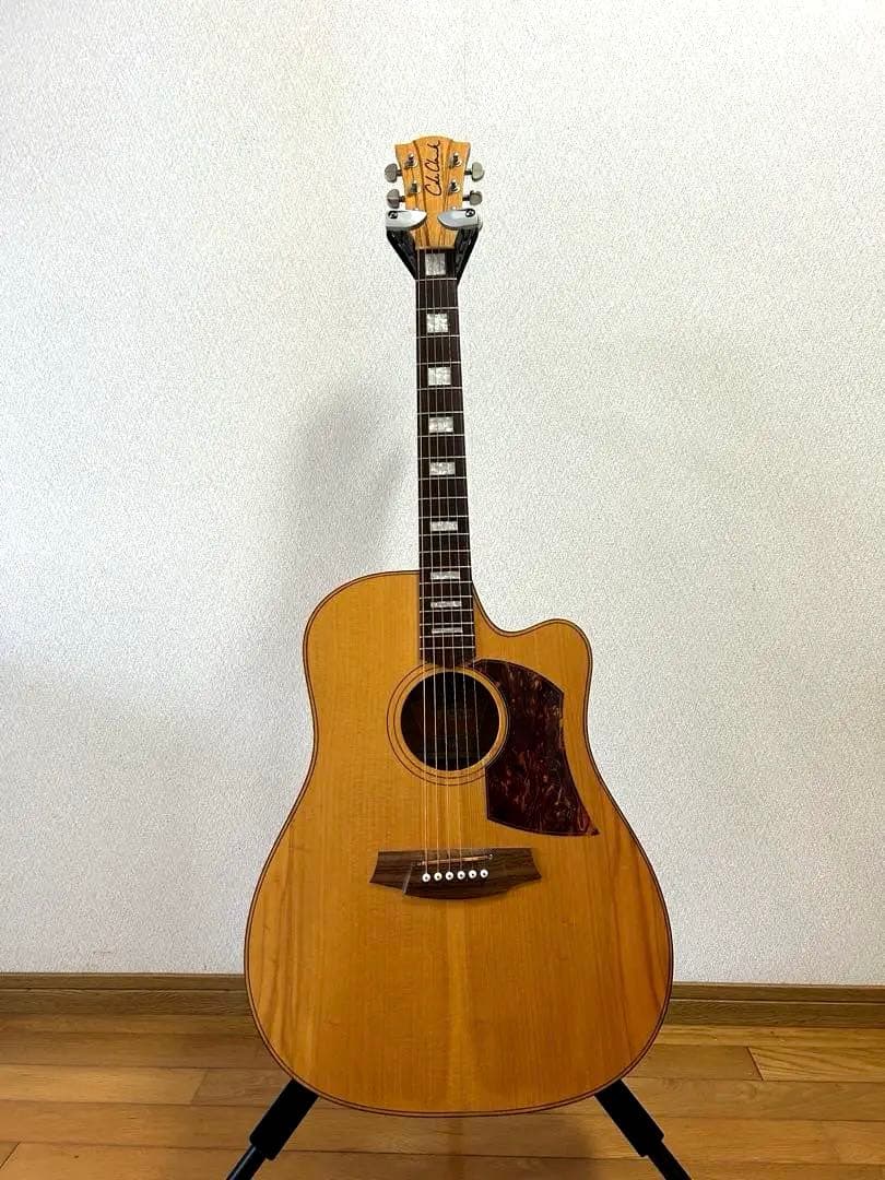 ギター Cole Clark FL2AC