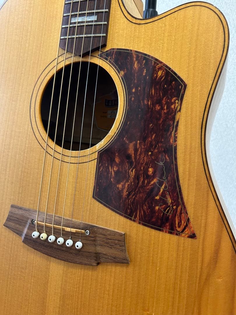 ギター Cole Clark FL2AC