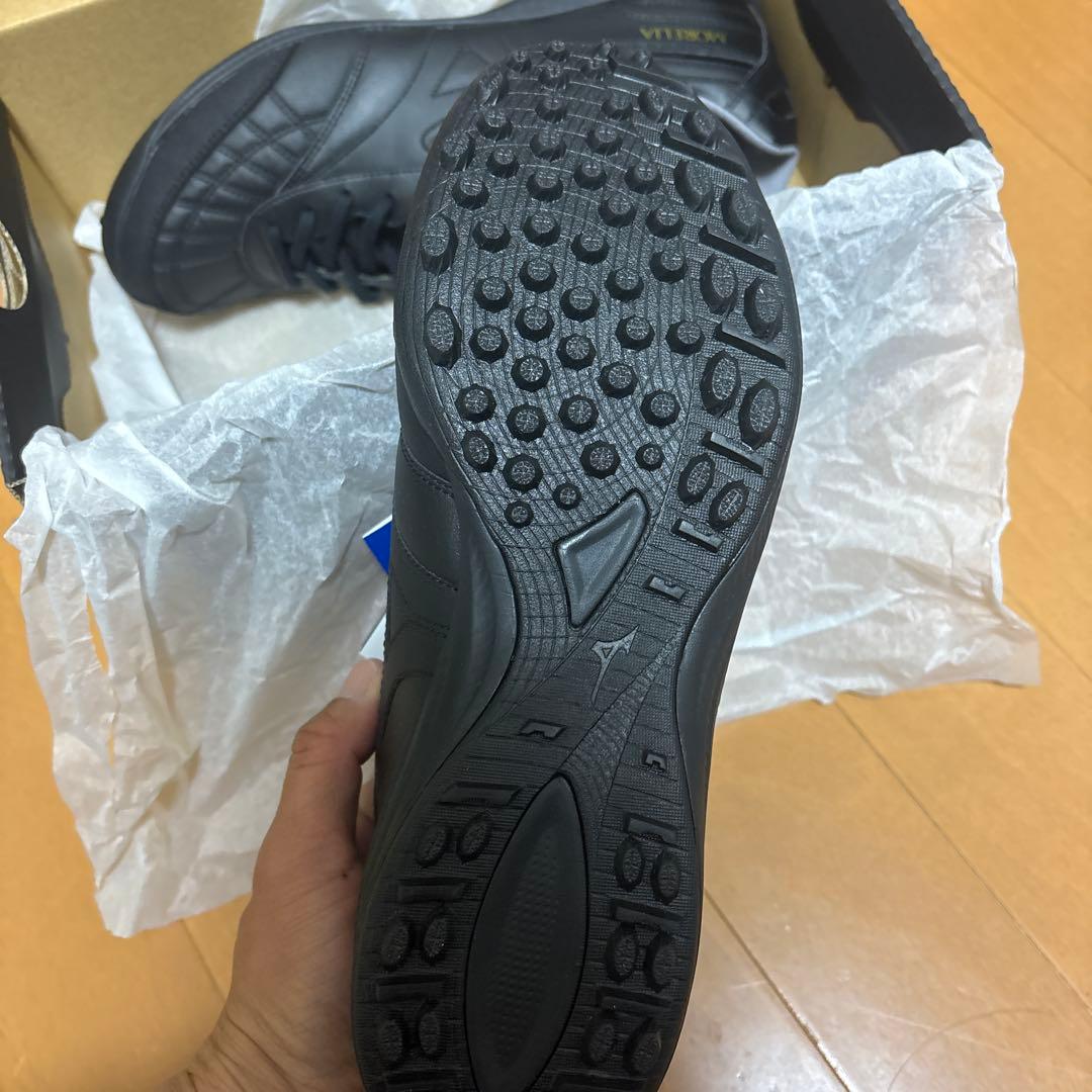 モレリアサラ　ジャパン