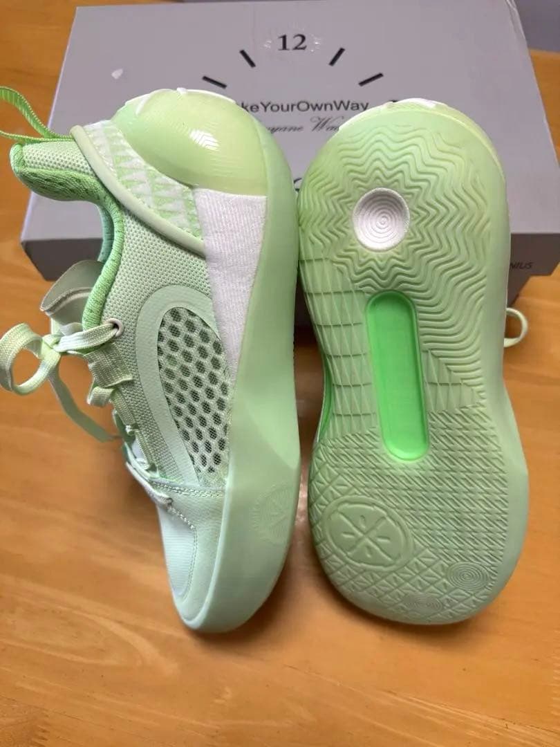 リーニン WADE ALL CITY 12 ENCORE バッシュ　26.5cm