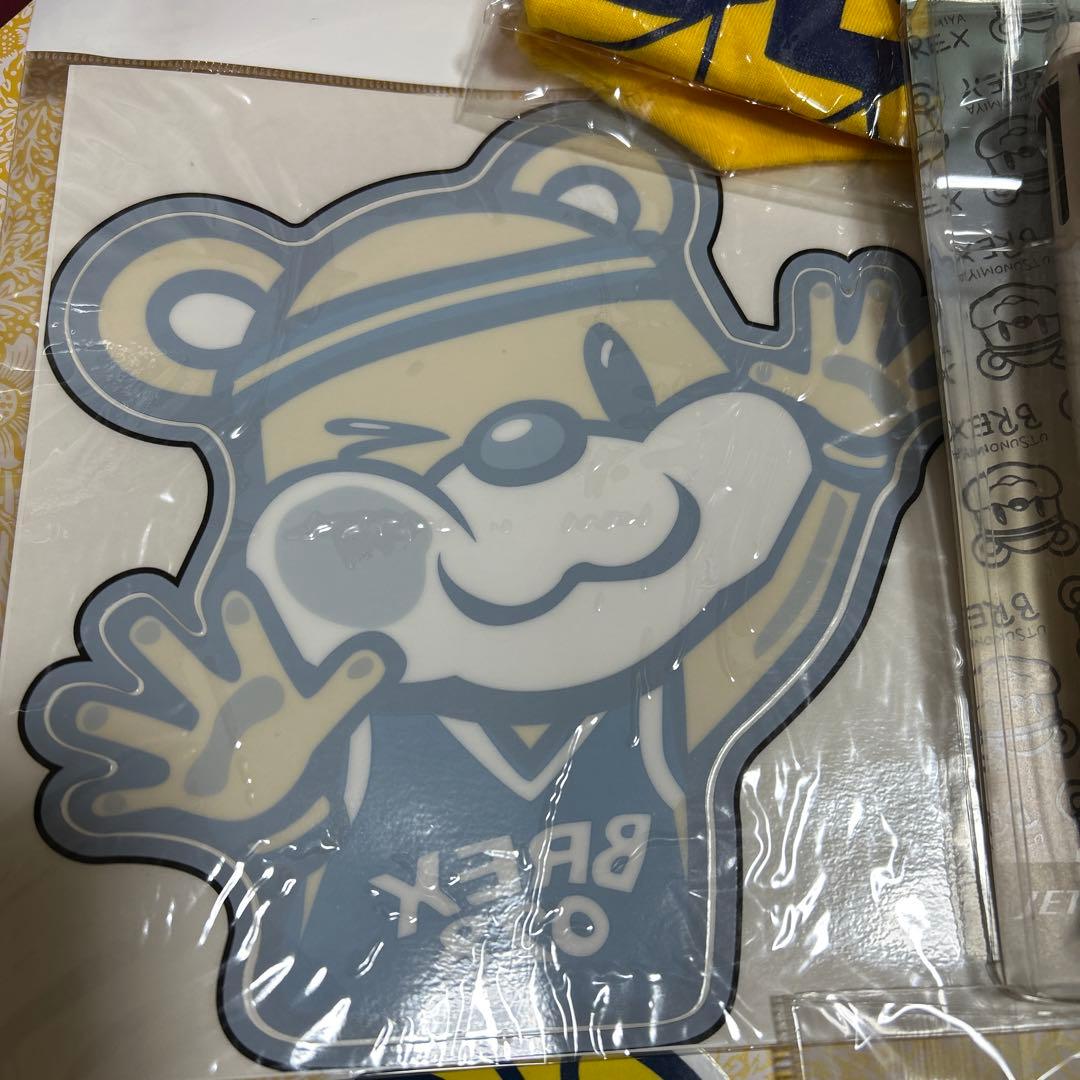 宇都宮ブレックスグッズ