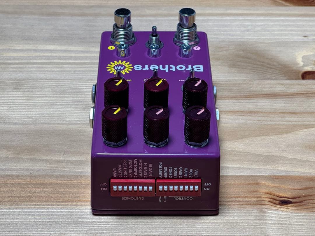 【本日値下げ】chase bliss audio Brothers AM