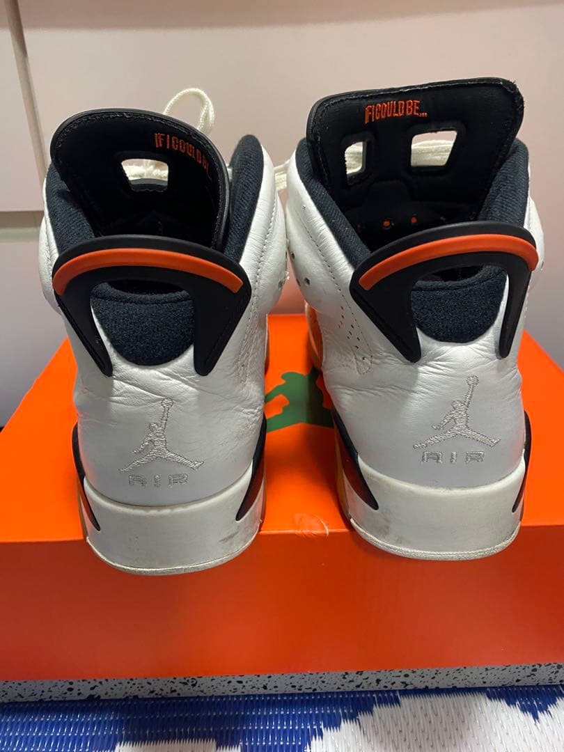NIKE Air Jordan 6 ゲーターレート　27.0㎝