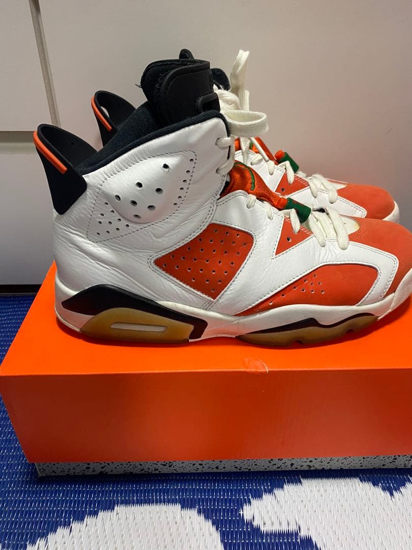 NIKE Air Jordan 6 ゲーターレート　27.0㎝