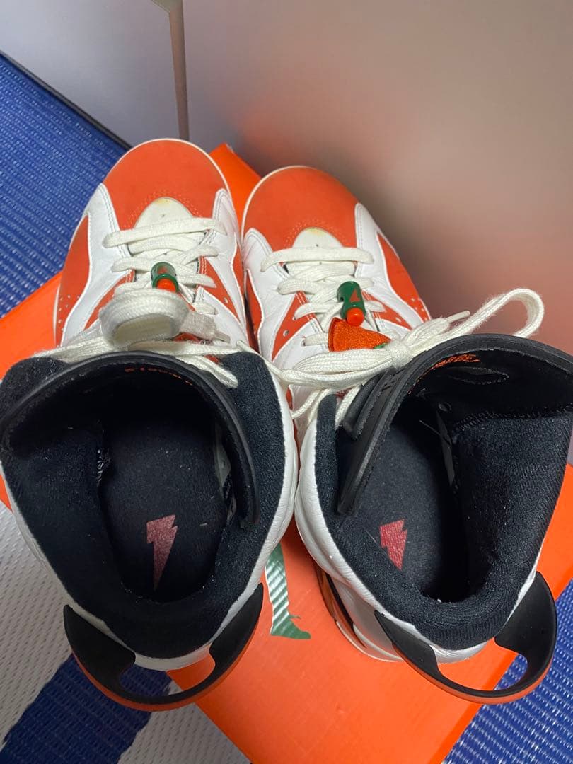 NIKE Air Jordan 6 ゲーターレート　27.0㎝