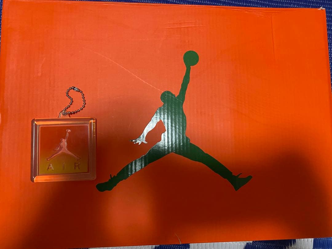 NIKE Air Jordan 6 ゲーターレート　27.0㎝