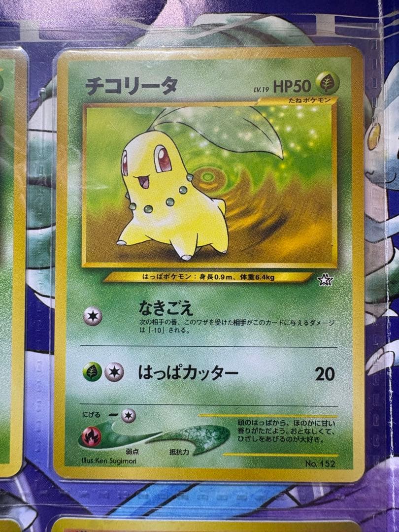 ポケモンカード ネオ プレミアムファイル 金銀 新世界へ…