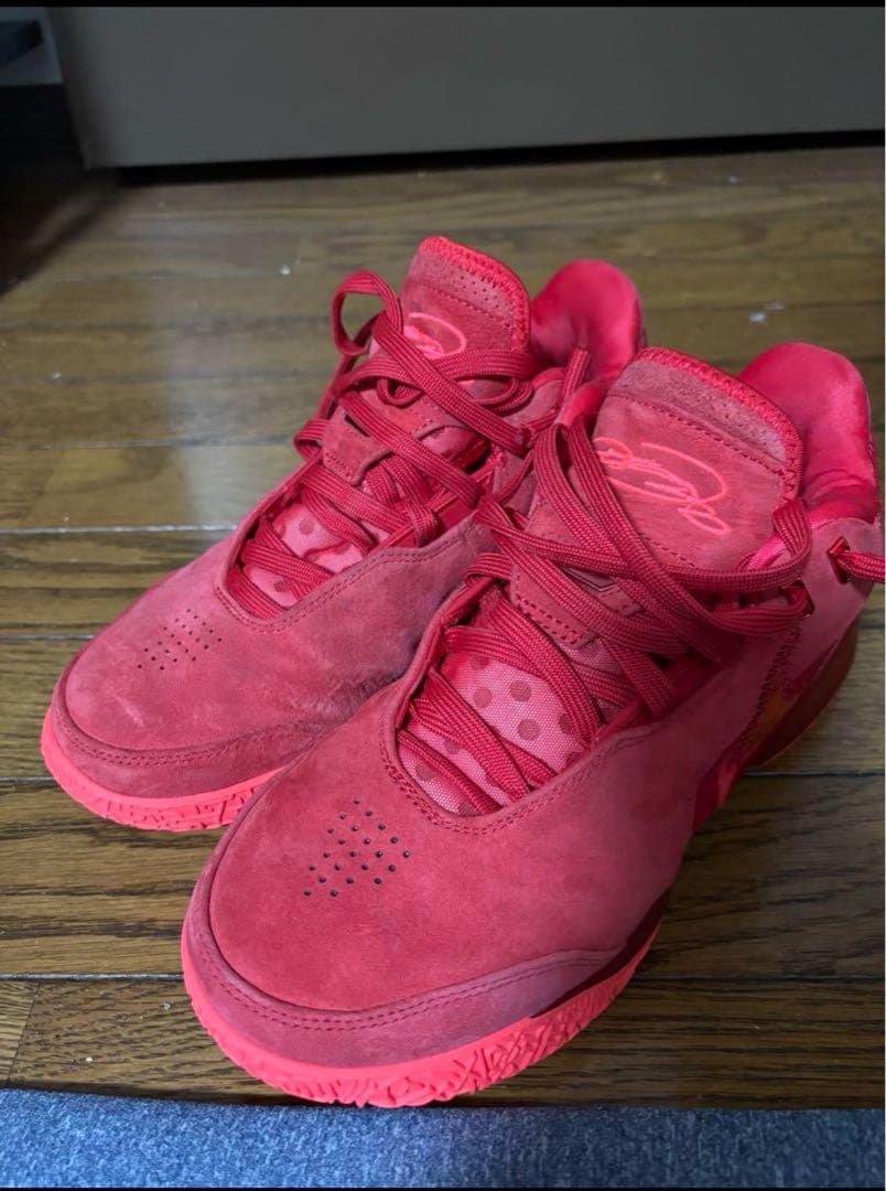 【美品】nike ZOOM Lebron NXXT Gen AMPD EP