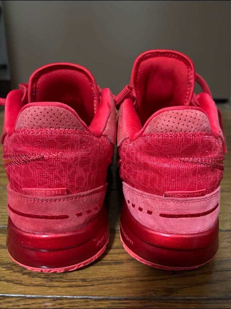 【美品】nike ZOOM Lebron NXXT Gen AMPD EP