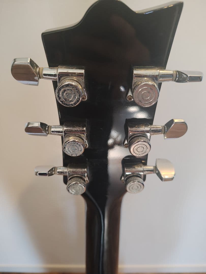 Reverend Guitars　レバレンドギターズ　デアデビル